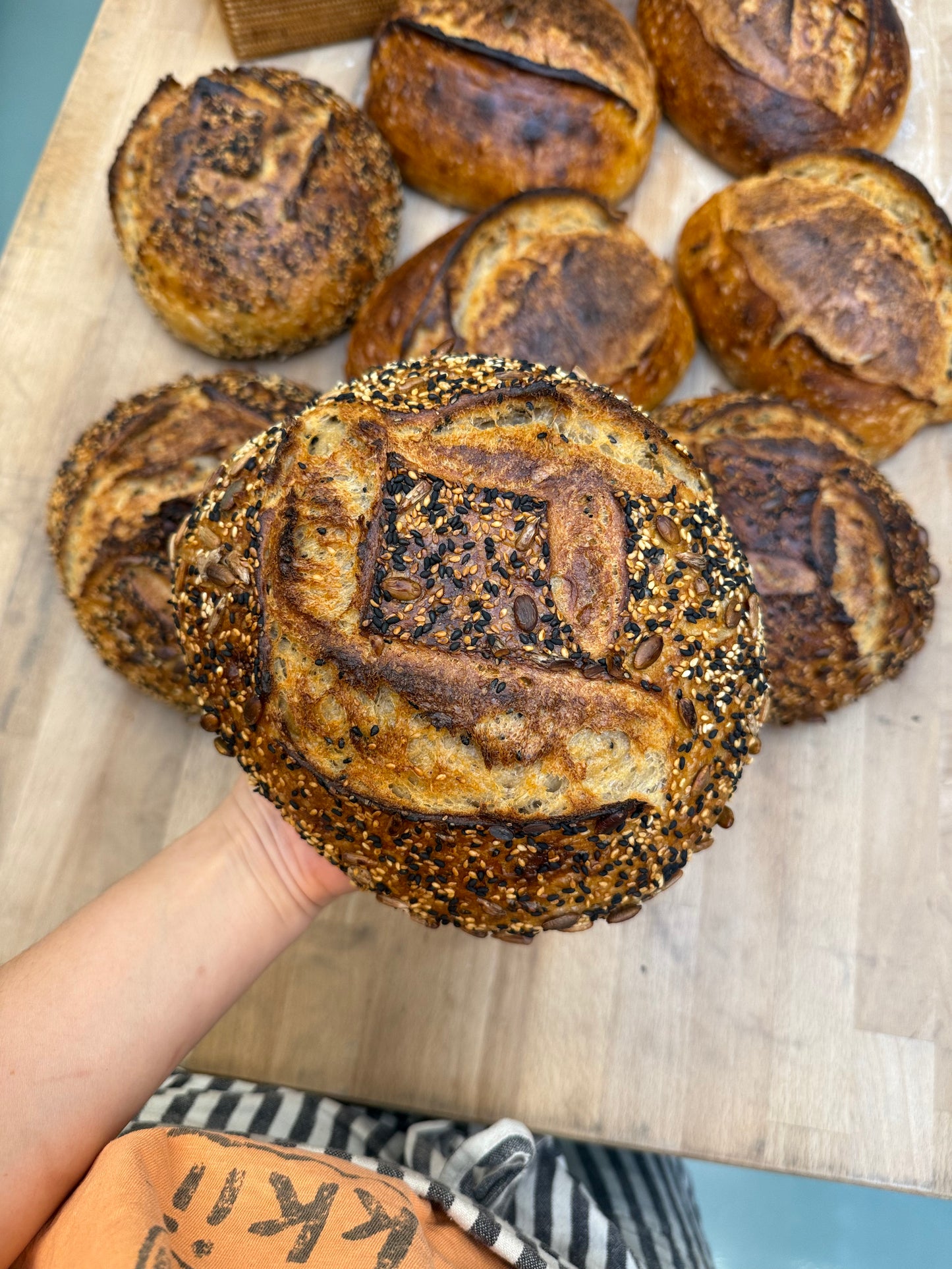 Seeded