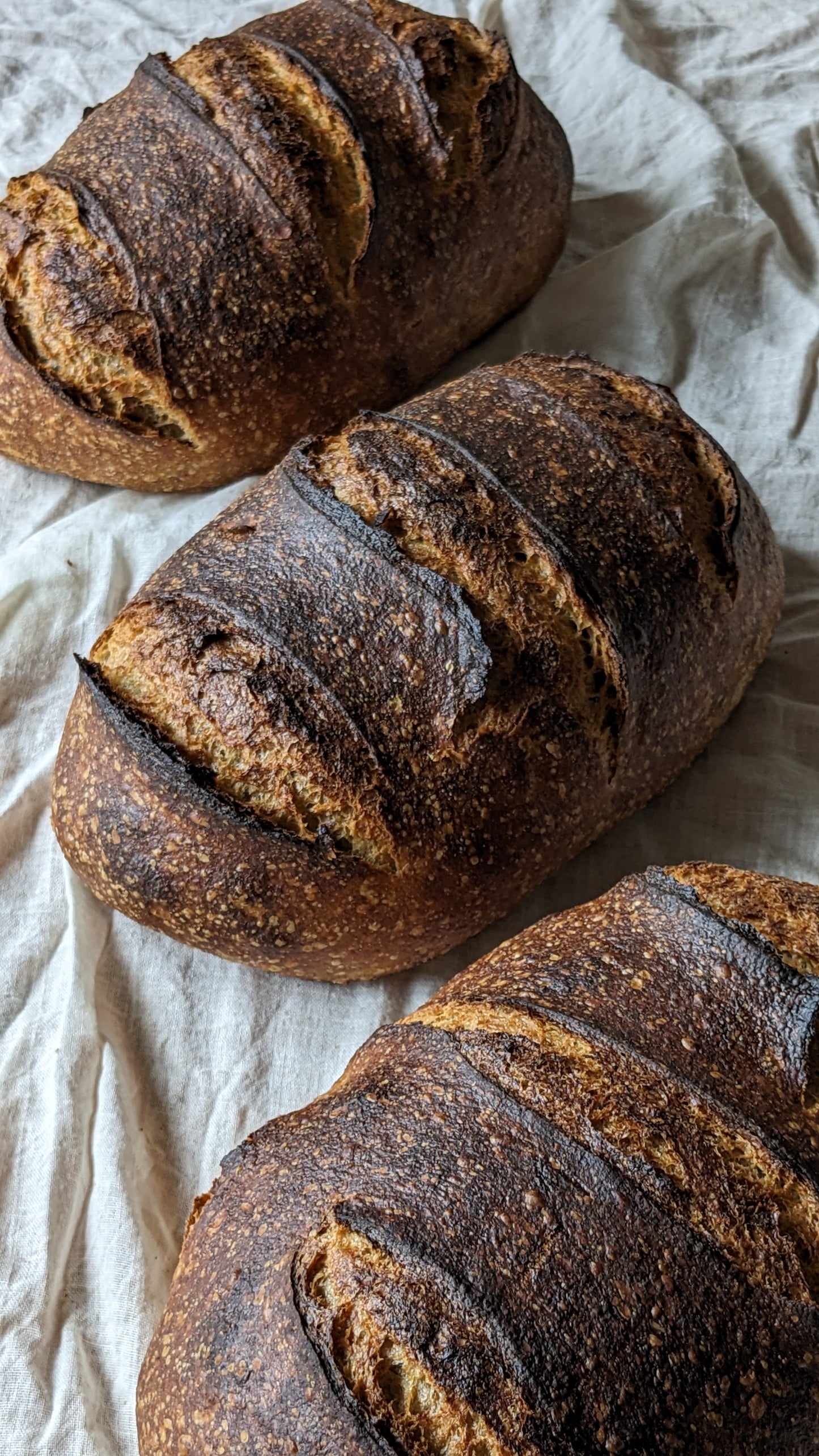 Light Rye