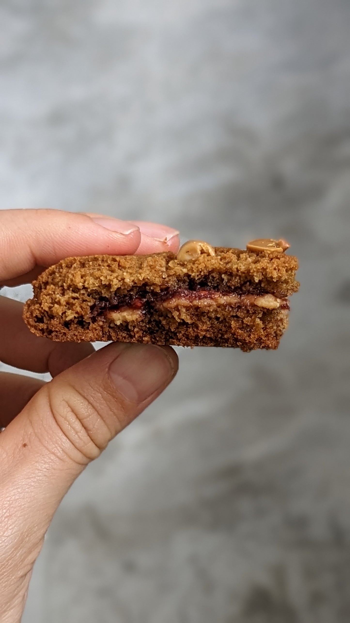 Peanut Butter Raspberry Jelly Cookie